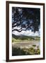 New Zealand, North Island, Coromandel Town, Colville, waterfront-Walter Bibikow-Framed Photographic Print