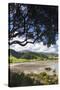 New Zealand, North Island, Coromandel Town, Colville, waterfront-Walter Bibikow-Stretched Canvas