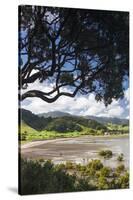 New Zealand, North Island, Coromandel Town, Colville, waterfront-Walter Bibikow-Stretched Canvas