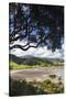 New Zealand, North Island, Coromandel Town, Colville, waterfront-Walter Bibikow-Stretched Canvas