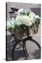 New Zealand, North Island, Martinborough. Bicycle with flowers-Walter Bibikow-Stretched Canvas