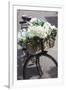 New Zealand, North Island, Martinborough. Bicycle with flowers-Walter Bibikow-Framed Photographic Print