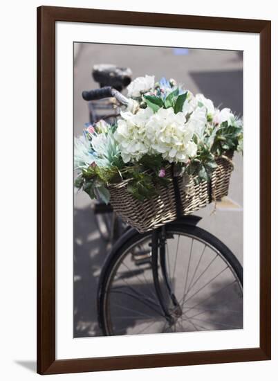 New Zealand, North Island, Martinborough. Bicycle with flowers-Walter Bibikow-Framed Photographic Print