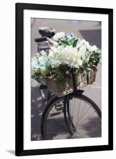 New Zealand, North Island, Martinborough. Bicycle with flowers-Walter Bibikow-Framed Photographic Print