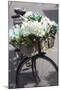 New Zealand, North Island, Martinborough. Bicycle with flowers-Walter Bibikow-Mounted Photographic Print