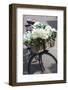 New Zealand, North Island, Martinborough. Bicycle with flowers-Walter Bibikow-Framed Photographic Print