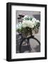 New Zealand, North Island, Martinborough. Bicycle with flowers-Walter Bibikow-Framed Photographic Print