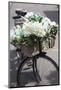 New Zealand, North Island, Martinborough. Bicycle with flowers-Walter Bibikow-Mounted Photographic Print