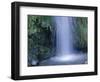 New Zealand, North Island, Mt.Taranaki National Park, Dawson Falls, Waterfall-Thonig-Framed Photographic Print