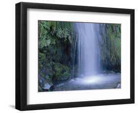 New Zealand, North Island, Mt.Taranaki National Park, Dawson Falls, Waterfall-Thonig-Framed Photographic Print