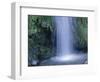 New Zealand, North Island, Mt.Taranaki National Park, Dawson Falls, Waterfall-Thonig-Framed Photographic Print