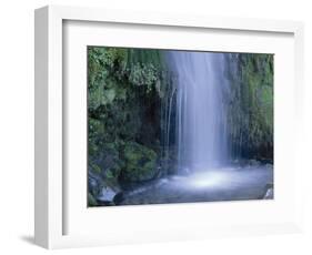 New Zealand, North Island, Mt.Taranaki National Park, Dawson Falls, Waterfall-Thonig-Framed Photographic Print