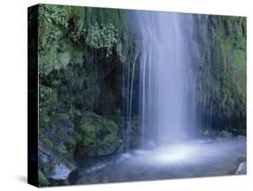 New Zealand, North Island, Mt.Taranaki National Park, Dawson Falls, Waterfall-Thonig-Stretched Canvas