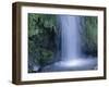 New Zealand, North Island, Mt.Taranaki National Park, Dawson Falls, Waterfall-Thonig-Framed Photographic Print