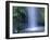 New Zealand, North Island, Mt.Taranaki National Park, Dawson Falls, Waterfall-Thonig-Framed Photographic Print