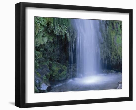 New Zealand, North Island, Mt.Taranaki National Park, Dawson Falls, Waterfall-Thonig-Framed Photographic Print