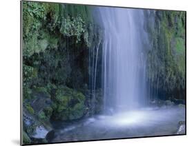 New Zealand, North Island, Mt.Taranaki National Park, Dawson Falls, Waterfall-Thonig-Mounted Photographic Print