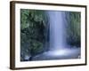 New Zealand, North Island, Mt.Taranaki National Park, Dawson Falls, Waterfall-Thonig-Framed Photographic Print