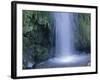 New Zealand, North Island, Mt.Taranaki National Park, Dawson Falls, Waterfall-Thonig-Framed Photographic Print