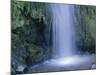 New Zealand, North Island, Mt.Taranaki National Park, Dawson Falls, Waterfall-Thonig-Mounted Photographic Print