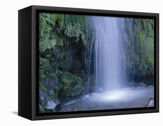 New Zealand, North Island, Mt.Taranaki National Park, Dawson Falls, Waterfall-Thonig-Framed Stretched Canvas