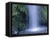 New Zealand, North Island, Mt.Taranaki National Park, Dawson Falls, Waterfall-Thonig-Framed Stretched Canvas