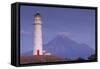 New Zealand, North Island, Pungarehu. Cape Egmont Lighthouse and Mt. Taranaki-Walter Bibikow-Framed Stretched Canvas