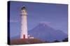 New Zealand, North Island, Pungarehu. Cape Egmont Lighthouse and Mt. Taranaki-Walter Bibikow-Stretched Canvas