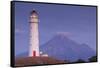 New Zealand, North Island, Pungarehu. Cape Egmont Lighthouse and Mt. Taranaki-Walter Bibikow-Framed Stretched Canvas