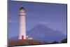 New Zealand, North Island, Pungarehu. Cape Egmont Lighthouse and Mt. Taranaki-Walter Bibikow-Mounted Photographic Print