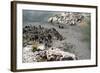 New Zealand, North Island, Rotorua, Whakarewarewa Thermal Area-Catharina Lux-Framed Photographic Print