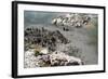 New Zealand, North Island, Rotorua, Whakarewarewa Thermal Area-Catharina Lux-Framed Photographic Print