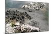 New Zealand, North Island, Rotorua, Whakarewarewa Thermal Area-Catharina Lux-Mounted Photographic Print