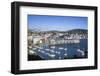 New Zealand, North Island, Wellington, elevated city skyline from Mt. Victoria, dawn-Walter Bibikw-Framed Photographic Print