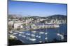 New Zealand, North Island, Wellington, elevated city skyline from Mt. Victoria, dawn-Walter Bibikw-Mounted Photographic Print
