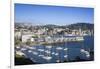 New Zealand, North Island, Wellington, elevated city skyline from Mt. Victoria, dawn-Walter Bibikw-Framed Photographic Print