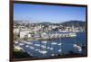 New Zealand, North Island, Wellington, elevated city skyline from Mt. Victoria, dawn-Walter Bibikw-Framed Photographic Print