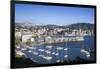 New Zealand, North Island, Wellington, elevated city skyline from Mt. Victoria, dawn-Walter Bibikw-Framed Photographic Print