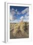 New Zealand, North Island, Whanganui. Castlecliff Beach, dune grass-Walter Bibikow-Framed Photographic Print