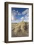 New Zealand, North Island, Whanganui. Castlecliff Beach, dune grass-Walter Bibikow-Framed Photographic Print