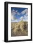 New Zealand, North Island, Whanganui. Castlecliff Beach, dune grass-Walter Bibikow-Framed Photographic Print