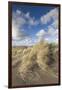 New Zealand, North Island, Whanganui. Castlecliff Beach, dune grass-Walter Bibikow-Framed Photographic Print