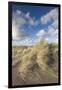 New Zealand, North Island, Whanganui. Castlecliff Beach, dune grass-Walter Bibikow-Framed Photographic Print