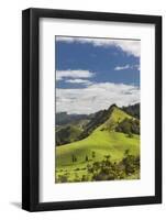 New Zealand, North Island, Wharekawa, landscape-Walter Bibikow-Framed Photographic Print