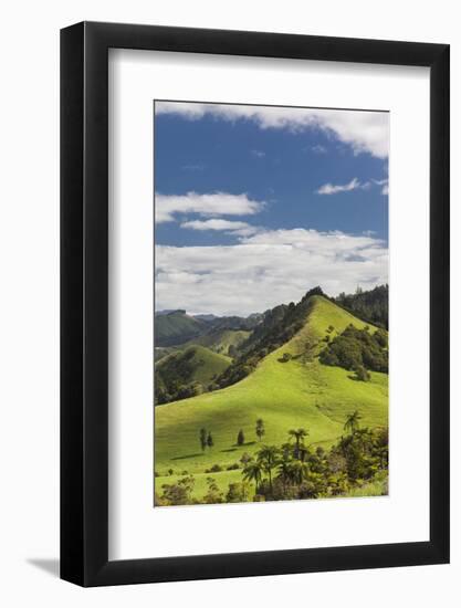 New Zealand, North Island, Wharekawa, landscape-Walter Bibikow-Framed Photographic Print