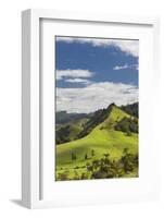 New Zealand, North Island, Wharekawa, landscape-Walter Bibikow-Framed Photographic Print