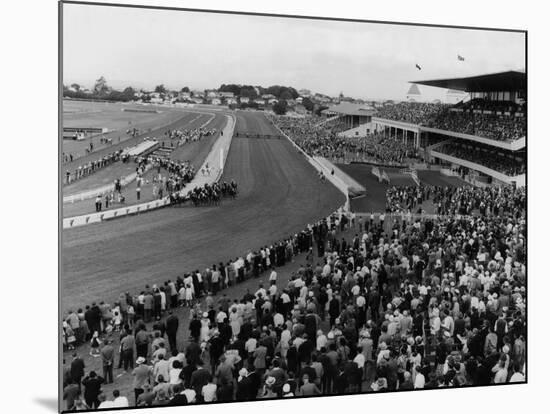 New Zealand Races-null-Mounted Photographic Print