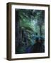 New Zealand, Rainforest, Vegetation, Tree Ferns, Cyatheaceae-Thonig-Framed Photographic Print