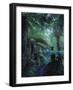 New Zealand, Rainforest, Vegetation, Tree Ferns, Cyatheaceae-Thonig-Framed Photographic Print