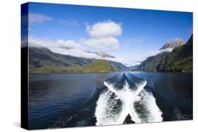 New Zealand's Doubtful Sound, Ferry Crossing Lake Manapouri-Micah Wright-Stretched Canvas